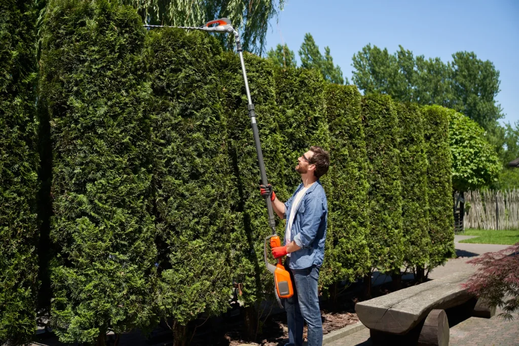 Mantenimiento básico para su podadora telescópica STIHL - CR