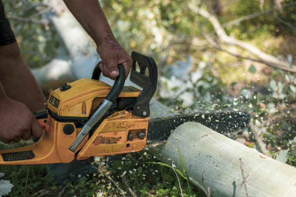 Motosierras STIHL adecuadas para proyectos en Pérez Zeledón
